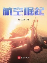 《航空崛起》