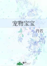 宠物瓷瓷