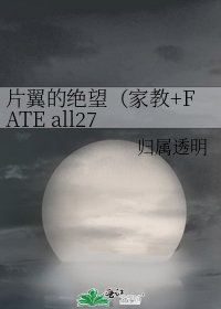 《片翼的绝望(家教+FATE all27 前世今生 轮回)》