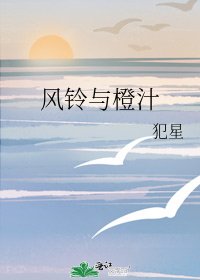 风铃与橙汁