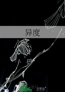 《异度》
